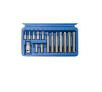 Gamme d'embouts en acier SW 3/8" profil en T T20-T55 15 pièces