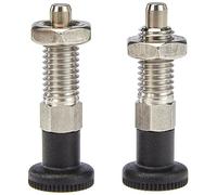Ganter Norme Éléments GN 717-6 M10 - BK Lot de 2 ni - RAST Boulons en acier inoxydable, argent,
