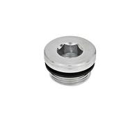 Ganter Norme Éléments GN 749 de M8 x 1 A - Vis de fermeture, Lot de 10, Argent, argent, GN 749-M16X1,5-A