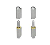 Ganter Normelemente, Lot de 2 charnières démontables à souder en acier 80 mm GN 128-80-ST
