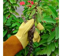 Gants de jardinage pour femmes/hommes - Gants de travail en cuir - Gants de jardinage à offrir pour le jardinage - Gants anti-coupures pour les roses épineuses - Outils de jardinage - Gants de jardina