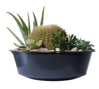 GARANTIA Bac à plantes pour récupérateur d'eau de pluie 2in1 pour cuve d'eau de pluie