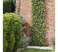Garden Mile® Feuilles de citronnier topiaire artificielles pour printemps et été - Décoration de jardin - 180 x 90 cm