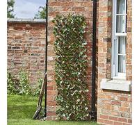 Garden Mile Panneau de clôture en feuille d'érable pour jardin, treillis artificiel - Panneau mural topiaire extensible - 180 x 90 cm