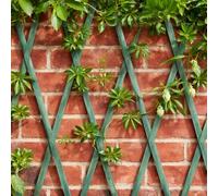 Garden Mile Treillis en Bois Vert Sauge Robuste pour Plantes grimpantes, Panneau de Support pour Fleurs, décoration de Jardin, Treillage Mural, Panneaux de clôture, 180 cm x 30 cm