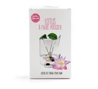 Radis et Capucine - Garden set - Lotus zen