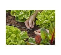 GARDENA Gardena Croisillon 4,6 mm (3/16") Contenu : 10 pièces MDS Quantité:1