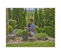 GARDENA Gardena Set ClassicCut Li cisaille à gazon sans fil Quantité:3