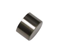 Gardinia Embouts d'Extrémité pour Tringles à Rideaux, 2 x Embouts d'Extrémité Konus, Série Windsor, Métal, Aspect INOX, Ø 25 mm