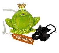 Gargouille Grenouille Vert avec Pompe