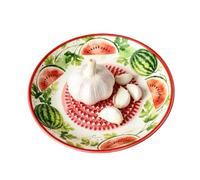 Garlic Grater Plate | Céramique Grater Dish | Fruit Pattern Kitchen Gr