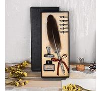 Garosa Ensemble de Stylos Plume Vintage, Pointe en Acier Inoxydable avec 5 Pointes Interchangeables, Cadeau d'écriture élégant pour le Dessin de Calligraphie et les Mariages (GREY)