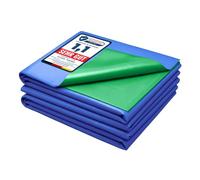 Garronda, bâche pour étang, 6x5 mètres, PE, épaisseur 0,5 mm, protection UV, bâche pour étang à 3 couches, modèle GD-0256