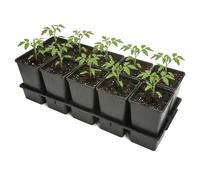 Garronda Kit de Semis Plateau 10 Trous avec Godets 1,7 L - Plateau de Semis Plastique PP Réutilisable Serre Jardin Intérieur Extérieur Horticulture Repiquage Culture Plantation GD-0208 Noir
