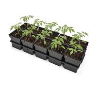 Garronda Kit de Semis Plateau 10 Trous avec Godets - Plateau de Semis Plastique PP Réutilisable Serre Jardin Intérieur Extérieur Horticulture Repiquage Culture Plantation GD-0208 Noir