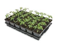 Garronda Kit de Semis Plateau 24 Trous avec Godets Ronds 0,5 L - Plateau de Semis Plastique PP Réutilisable Serre Jardin Intérieur Extérieur Horticulture Repiquage Culture Plantation GD-0208 Noir