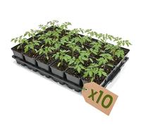Garronda Lot 10 Kit de Semis Plateau 24 Trous avec Godets Carrés 0,5 L - Plateau de Semis Plastique PP Réutilisable Serre Jardin Intérieur Extérieur Horticulture Repiquage Culture Plantation GD-0208