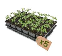 Garronda Lot 5 Kit de Semis Plateau 24 Trous avec Godets Ronds 0,5 L - Plateau de Semis Plastique PP Réutilisable Serre Jardin Intérieur Extérieur Horticulture Repiquage Culture Plantation GD-0208