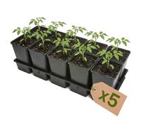 Garronda Lot de 5 Kit de Semis Plateau 10 Trous avec Godets 1,7 L - Plateau de Semis Plastique PP Réutilisable Serre Jardin Intérieur Extérieur Horticulture Repiquage Culture Plantation GD-0208 Noir