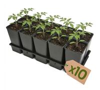 Garronda, plateau de culture à 10 alvéoles, support pour pots de culture pour serre (plateau de culture avec 10 pots de 2 L) GD-KW-T