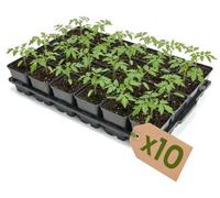 Garronda, plateau de culture de 10 alvéoles pour pots de culture destinés à la serre (plateau de culture avec 24 pots carrés de 0,5 l) GD-KW-T