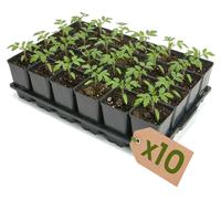 Garronda, plateau de culture de 10 alvéoles pour pots de culture destinés à la serre (plateau de culture avec 24 pots de 0,8 l) GD-KW-T