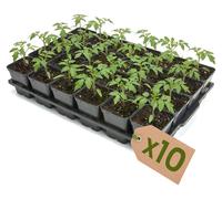 Garronda, plateau de culture de 10 alvéoles pour pots de culture destinés à la serre (plateau de culture comprenant 24 pots arrondis de 0,5 l) GD-KW-T