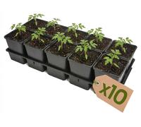 Garronda, plateau de semis de 10 alveoles pour pots de culture en serre (plateau de semis avec 10 pots de 1,25 L) GD-KW-T