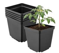 Garronda Pot de Fleur Carré en Plastique 15 × H 15 cm (2,5L) Lot 5 Godets Semis Pots de Pépinière avec Drainage Résistants Intempéries pour Culture Plantes Jardin Serre Intérieur Extérieur GD-0199