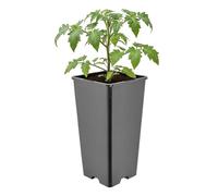 Garronda Pot de Fleur Carré Haut Plastique 11 × H 21,5 cm (2L) - Godet Semis Pot Culture Profond Drainage Résistant Intempéries pour Plantes Pépinière Jardin Serre Intérieur Extérieur GD-0201