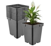 Garronda Pot de Fleur Carré Haut Plastique 18 × H 21,5 cm (5L) - x10 Godets Semis Pot Culture Profond Drainage Résistants Intempéries pour Plantes Pépinière Jardin Serre Intérieur Extérieur GD-0201