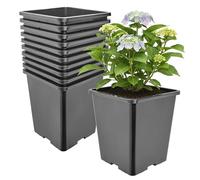 Garronda Pot de Fleur Carré Haut Plastique 20,5 × H 23,5 cm (7L) - x10 Godets Semis Pot Culture Profond Drainage Résistants Intempéries pour Plantes Pépinière Jardin Serre Intérieur Extérieur GD-0201