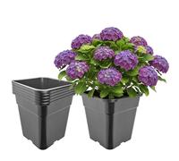 Garronda Pot de Fleur Carré Haut Plastique 30,5 × H 31 cm (18L) - x5 Godets Semis Pot Culture Profond Drainage Résistants Intempéries pour Plantes Pépinière Jardin Serre Intérieur Extérieur GD-0201