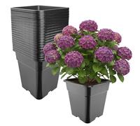Garronda Pot de Fleur Carré Haut Plastique 33 × H 34 cm (25L) - x20 Godets Semis Pot Culture Profond Drainage Résistants Intempéries pour Plantes Pépinière Jardin Serre Intérieur Extérieur GD-0201