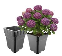 Garronda Pot de Fleur Carré Haut Plastique 33 × H 34 cm (25L) - x5 Godets Semis Pot Culture Profond Drainage Résistants Intempéries pour Plantes Pépinière Jardin Serre Intérieur Extérieur GD-0201