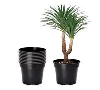 Garronda Pots Horticulture Ronds Pots pour Culture de Plants de Plantes et Fleurs GD-0025 (10 Pièces Noir, ⌀ 41,5cm H=30,5cm)