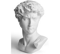 Garwor Statue de David Sculptures de tête de Michel-Ange - Buste de David - Figurine Classique Grecque - Buste Romain - Décoration d'intérieur ou de Bureau