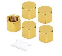 GASHER 5 pièces 1/8"BSP Bouchon de Tuyau en Laiton, Raccord Bouchon Fille BSP avec Filetage Fémelle pour Extrémité de TuyauGO-482SS