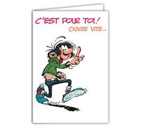 Gaston Lagaffe Carte Bon Anniversaire Féminin Bouquet Fleurs Roses Marguerite Humour Humoristique - Avec Enveloppe Illustrée 17,5x12cm - Fabriqué en France - GLCT-0243