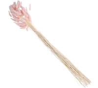 GATHINESS Bouquet de Fleurs Séchées Queue de Lapin Naturelle Rose pour Décoration Mariage et Maison, Herbe Séchée Romantique pour Table et Chambre