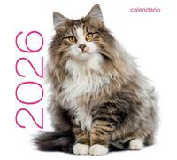 Gatti. Calendario da muro 2026