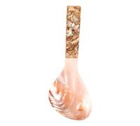 Gatuida Spatule à Riz Ménagère en Coquillage Naturel, Poignée Résistante la Chaleur, Multi-usage et Compacte, Cuisine Quotidienne