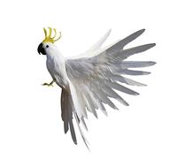 Gazechimp Artificielle Oiseau Plumes en Polyéthylène Perroquet pour Décoration Jardin Artisanat Micro-paysagère X-mas - #3 Blanc, 40*10*11cm