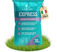 Gazon à Semer (30m²)-Graines de Gazon Rustique à Croissance Rapide et Résistante au Piétinement-Pelouse Densément Verte-0 75kg