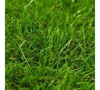 Gazon artificiel 1x5 m/40 mm Vert Vert G