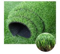 Gazon Artificiel en Rouleaux, Tapis de Gazon synthétique réaliste, Tapis de Faux Gazon, Longueurs de 3 m, 4 m, 5 m, 6 m et 7 m (Taille : 3 x 3 m)