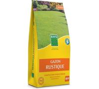 Gazon - BHS - Gazon rustique 20 kg, pour jardins traditionnels et tous types de sols