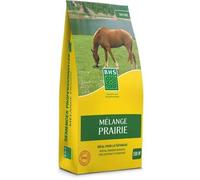 Gazon - Bhs - Mélange Prairie 5kg 500m² Pour Zones Extensives Et Pâturage Installation Rapide, Résistant, Sans Entretien.