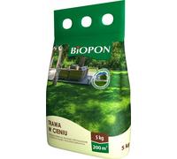 Gazon d'ombre Graines de gazon Gazon d'ombre Pour 200m2 Qualité 5kg