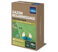 Gazon regarnissage Caillard Rustique rapide
